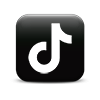 Synthesis Music Media on TikTok